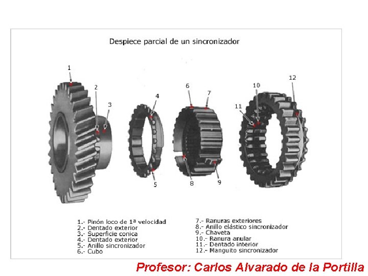 Profesor: Carlos Alvarado de la Portilla 