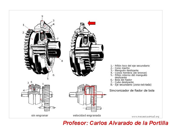 Profesor: Carlos Alvarado de la Portilla 