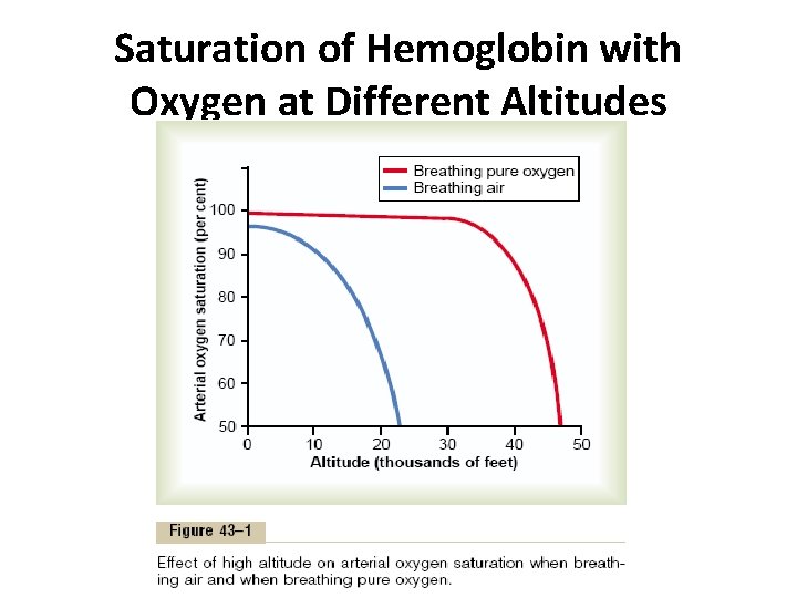 Saturation of Hemoglobin with Oxygen at Different Altitudes 