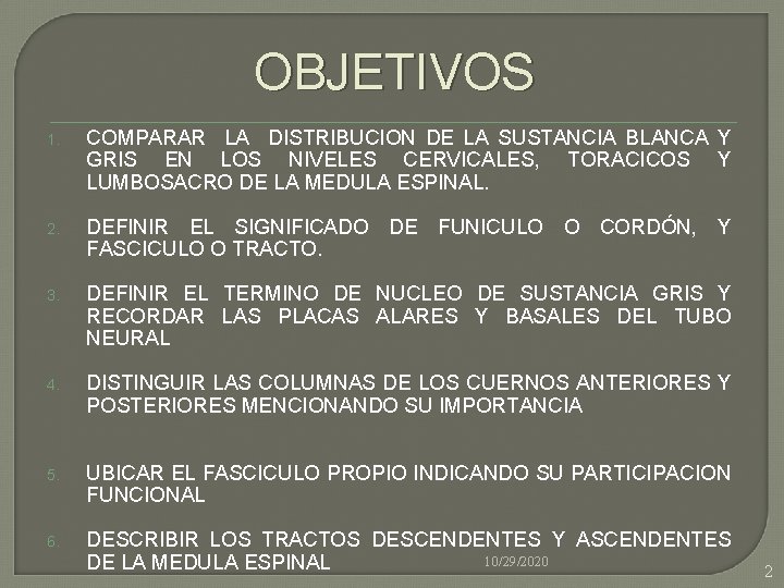 OBJETIVOS 1. COMPARAR LA DISTRIBUCION DE LA SUSTANCIA BLANCA Y GRIS EN LOS NIVELES