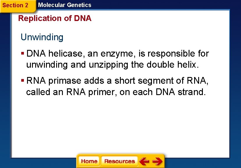 Section 2 Molecular Genetics Replication of DNA Unwinding § DNA helicase, an enzyme, is