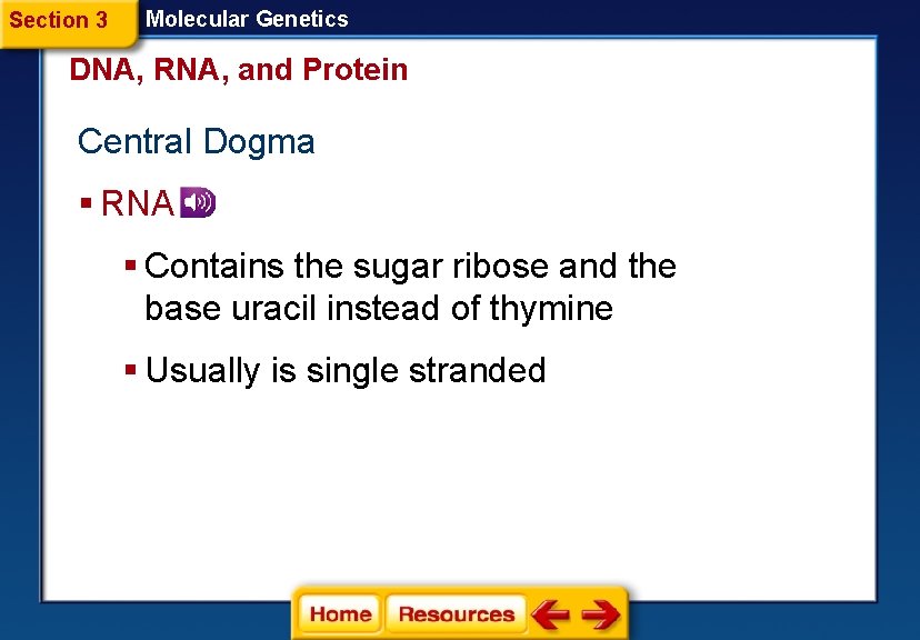 Section 3 Molecular Genetics DNA, RNA, and Protein Central Dogma § RNA § Contains