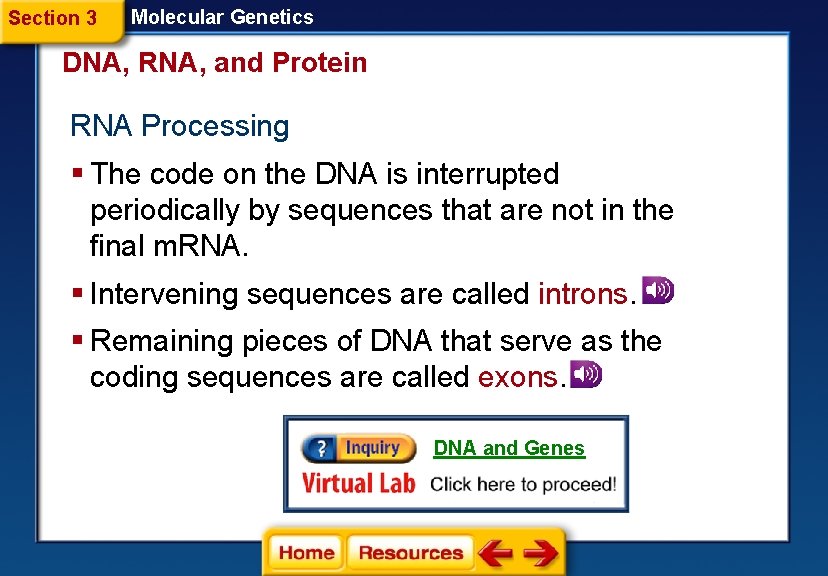 Section 3 Molecular Genetics DNA, RNA, and Protein RNA Processing § The code on