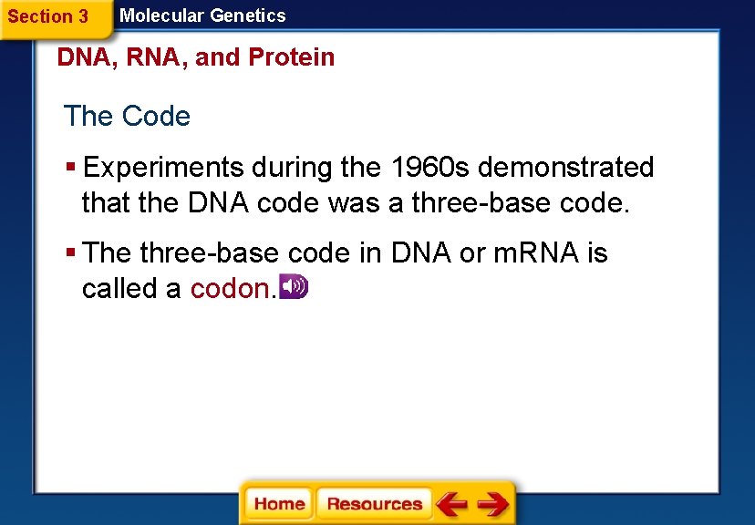 Section 3 Molecular Genetics DNA, RNA, and Protein The Code § Experiments during the