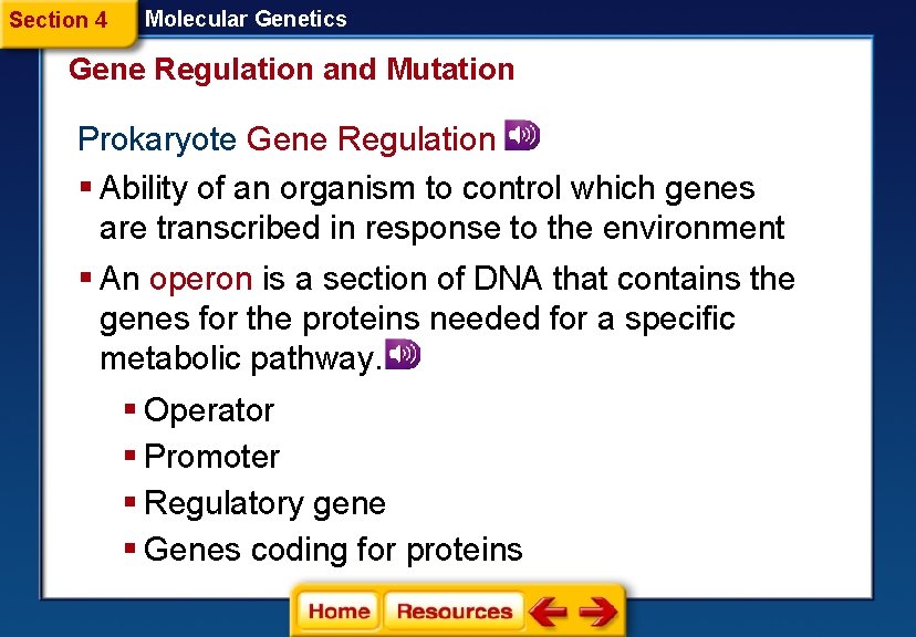 Section 4 Molecular Genetics Gene Regulation and Mutation Prokaryote Gene Regulation § Ability of