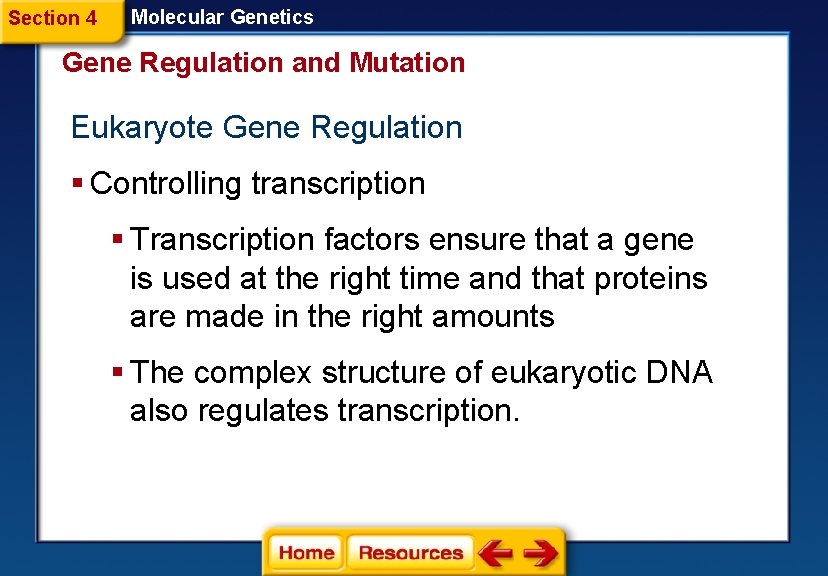 Section 4 Molecular Genetics Gene Regulation and Mutation Eukaryote Gene Regulation § Controlling transcription