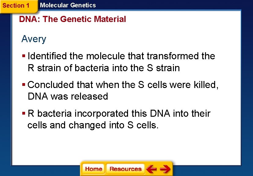 Section 1 Molecular Genetics DNA: The Genetic Material Avery § Identified the molecule that