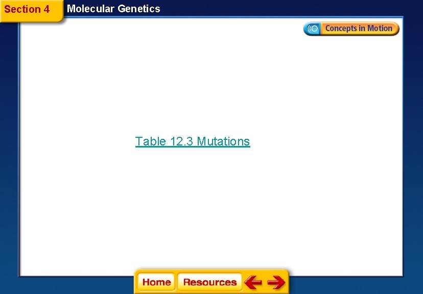 Section 4 Molecular Genetics Table 12. 3 Mutations 