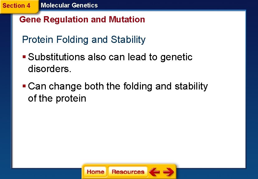 Section 4 Molecular Genetics Gene Regulation and Mutation Protein Folding and Stability § Substitutions