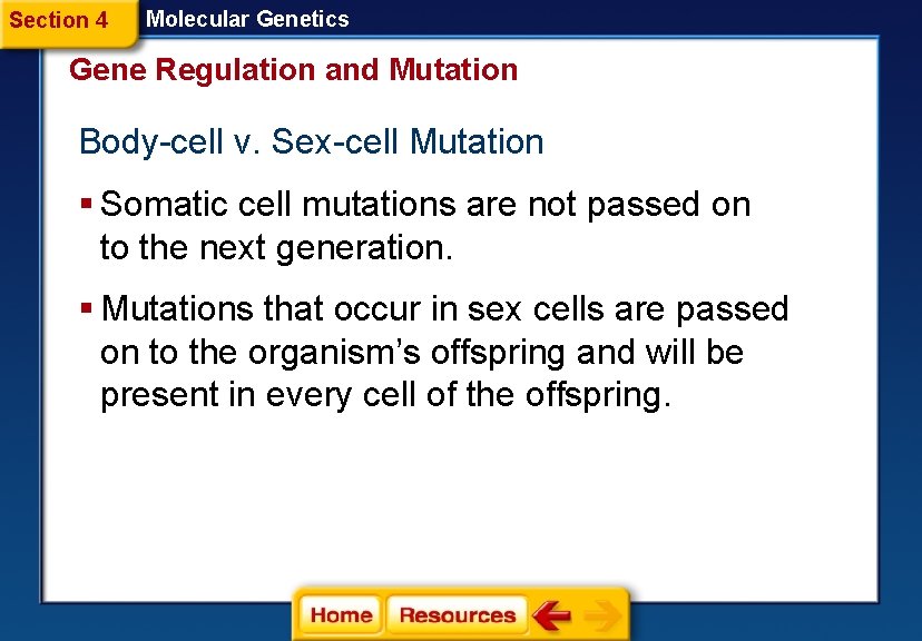 Section 4 Molecular Genetics Gene Regulation and Mutation Body-cell v. Sex-cell Mutation § Somatic
