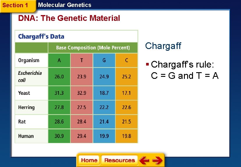 Section 1 Molecular Genetics DNA: The Genetic Material Chargaff § Chargaff’s rule: C =