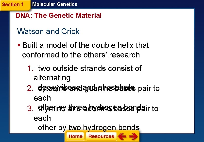 Section 1 Molecular Genetics DNA: The Genetic Material Watson and Crick § Built a