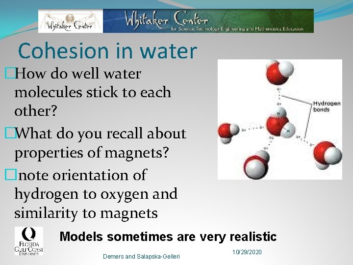 Cohesion in water �How do well water molecules stick to each other? �What do