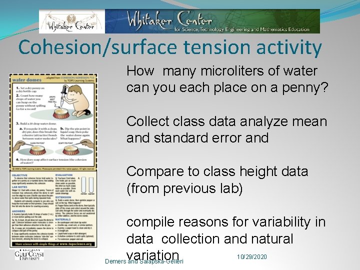 Cohesion/surface tension activity How many microliters of water can you each place on a