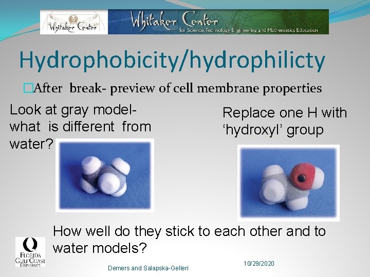 Hydrophobicity/hydrophilicty �After break- preview of cell membrane properties Look at gray modelwhat is different
