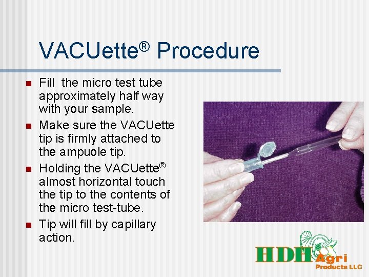VACUette® Procedure n n Fill the micro test tube approximately half way with your