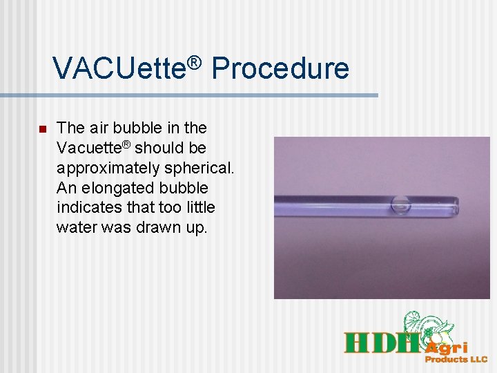 VACUette® Procedure n The air bubble in the Vacuette® should be approximately spherical. An