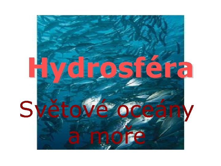 Hydrosféra Světové oceány a moře 