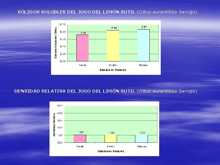 SÓLIDOS SOLUBLES DEL JUGO DEL LIMÓN SUTIL (Citrus aurantifolia Swingle). DENSIDAD RELATIVA DEL JUGO SÓLIDOS SOLUBLES DEL JUGO DEL LIMÓN SUTIL (Citrus aurantifolia Swingle). DENSIDAD RELATIVA DEL JUGO