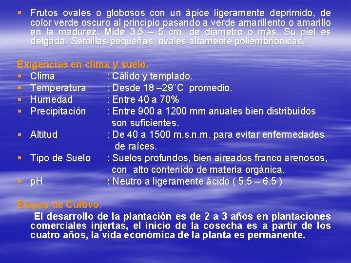 § Frutos ovales o globosos con un ápice ligeramente deprimido, de color verde oscuro § Frutos ovales o globosos con un ápice ligeramente deprimido, de color verde oscuro