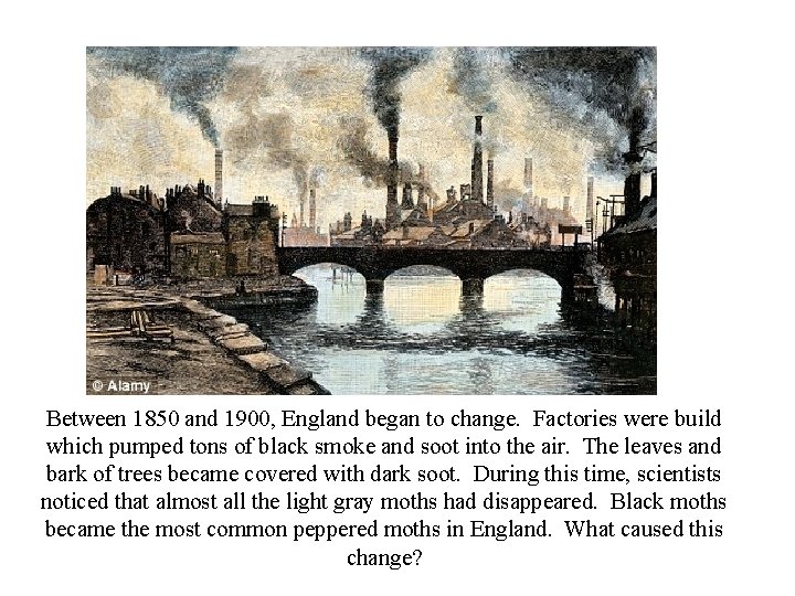 Between 1850 and 1900, England began to change. Factories were build which pumped tons