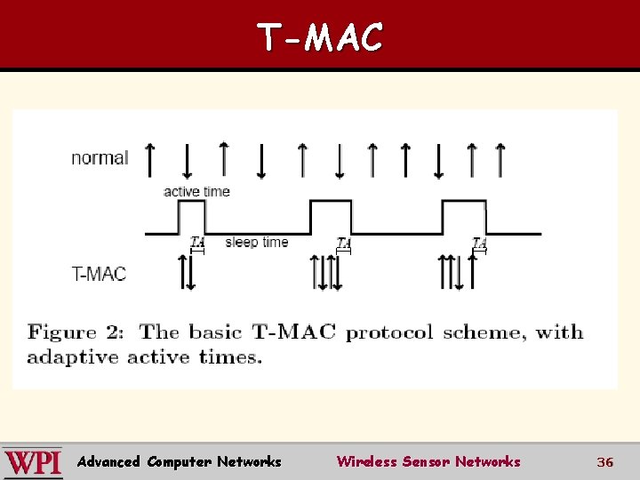 T-MAC Advanced Computer Networks Wireless Sensor Networks 36 