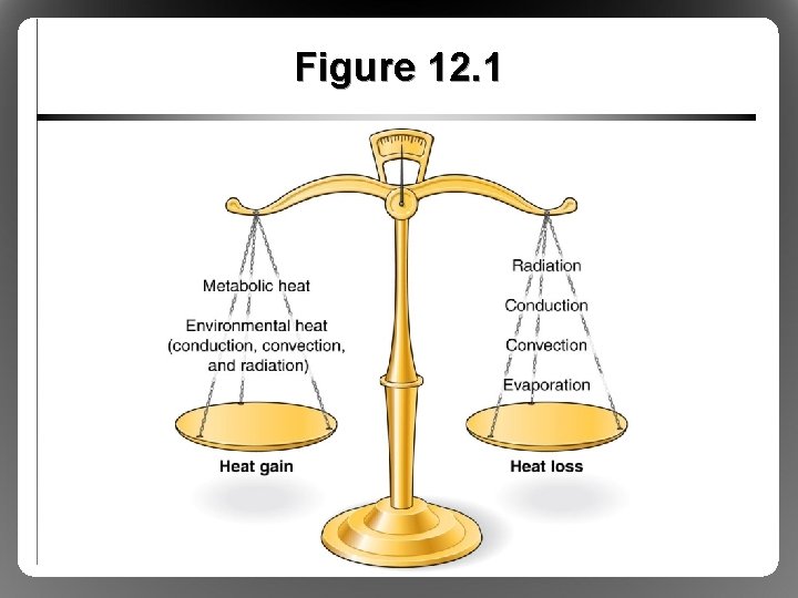 Figure 12. 1 