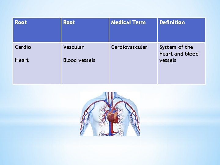 Root Medical Term Definition Cardio Vascular Cardiovascular Heart Blood vessels System of the heart