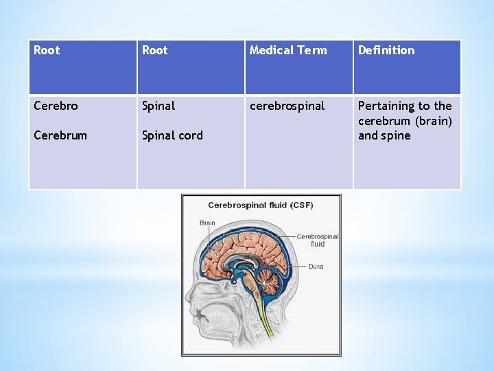 Root Medical Term Definition Cerebro Spinal cerebrospinal Cerebrum Spinal cord Pertaining to the cerebrum