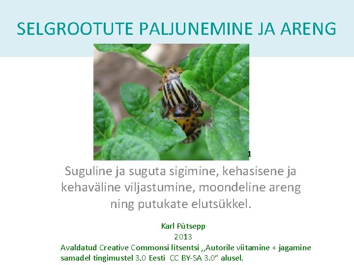 SELGROOTUTE PALJUNEMINE JA ARENG 1 Suguline ja suguta sigimine, kehasisene ja kehaväline viljastumine, moondeline