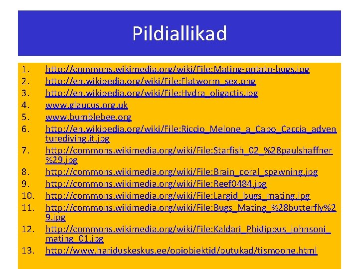 Pildiallikad 1. 2. 3. 4. 5. 6. 7. 8. 9. 10. 11. 12. 13.