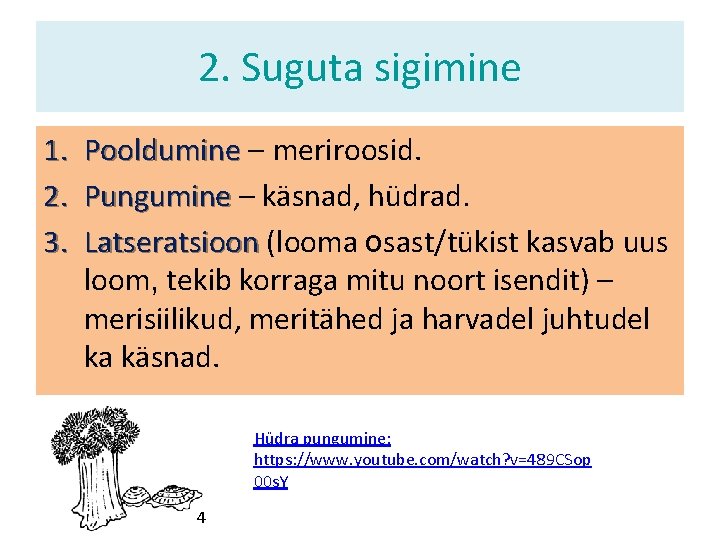 2. Suguta sigimine 1. 2. 3. Pooldumine – meriroosid. Pungumine – käsnad, hüdrad. Latseratsioon