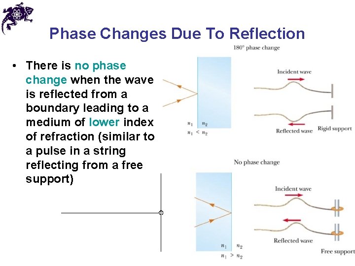 Phase Changes Due To Reflection • There is no phase change when the wave