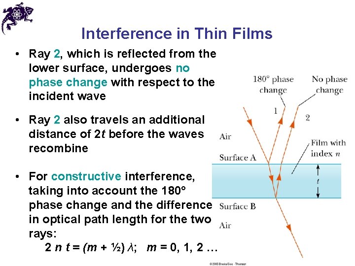 Interference in Thin Films • Ray 2, which is reflected from the lower surface,