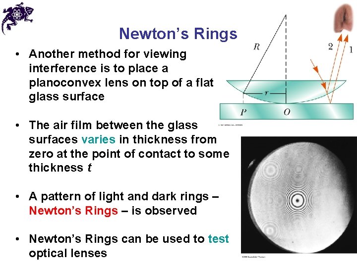 Newton’s Rings • Another method for viewing interference is to place a planoconvex lens