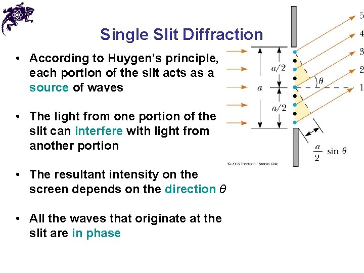 Single Slit Diffraction • According to Huygen’s principle, each portion of the slit acts