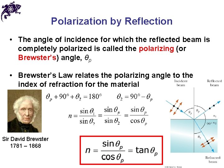 Polarization by Reflection • The angle of incidence for which the reflected beam is