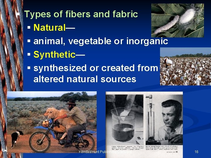 § Types of fibers and fabric § Natural— § animal, vegetable or inorganic §