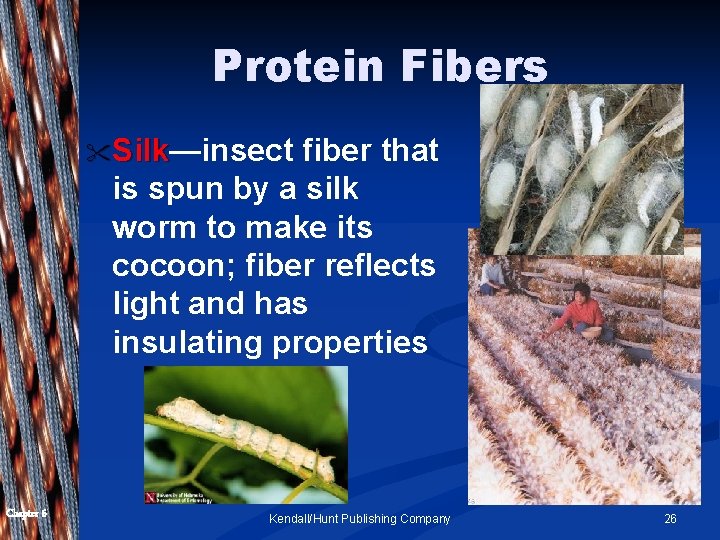 Protein Fibers " Silk—insect Silk fiber that is spun by a silk worm to