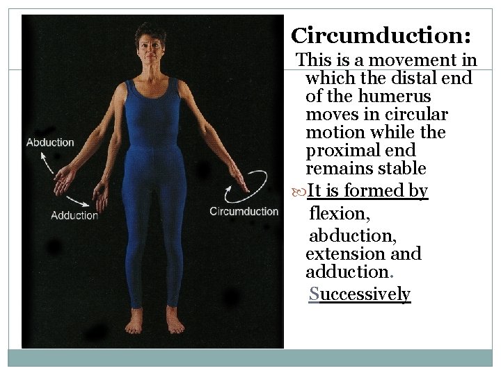 Circumduction: 17 This is a movement in which the distal end of the humerus Circumduction: 17 This is a movement in which the distal end of the humerus