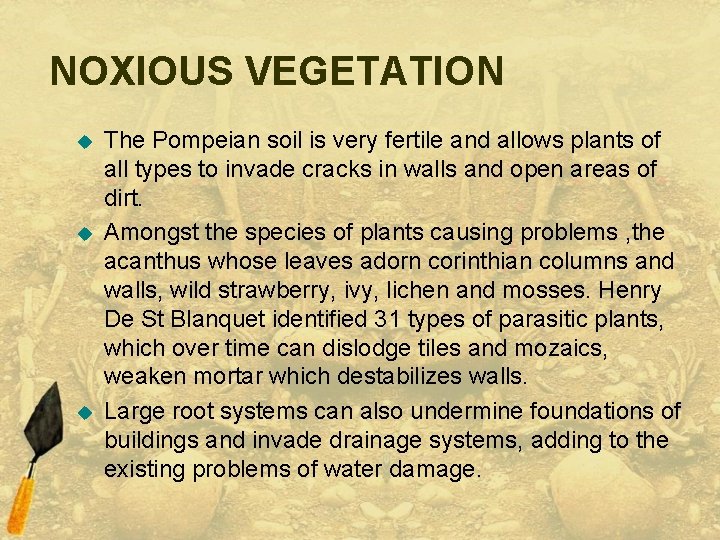 NOXIOUS VEGETATION u u u The Pompeian soil is very fertile and allows plants
