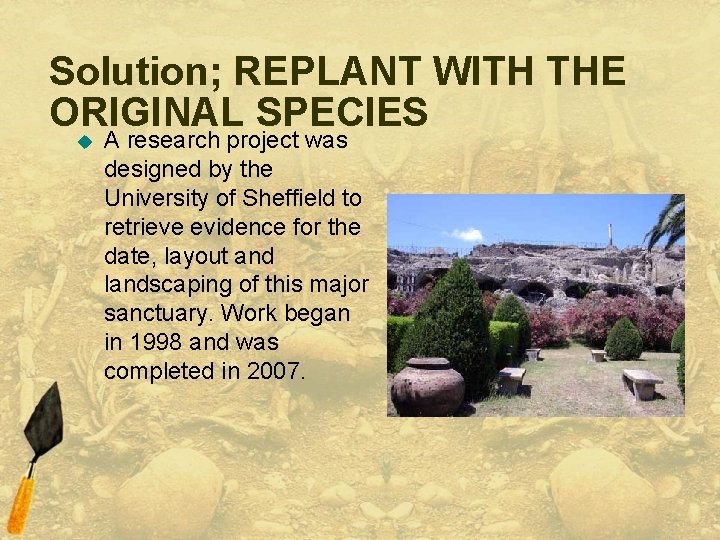 Solution; REPLANT WITH THE ORIGINAL SPECIES u A research project was designed by the