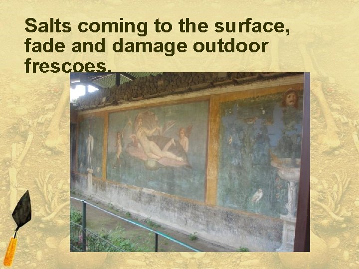 Salts coming to the surface, fade and damage outdoor frescoes. 