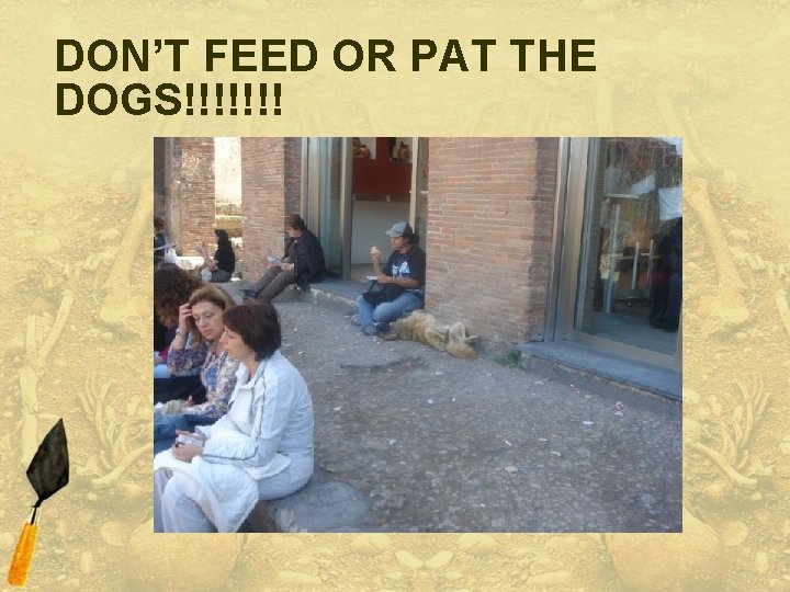 DON’T FEED OR PAT THE DOGS!!!!!!! 