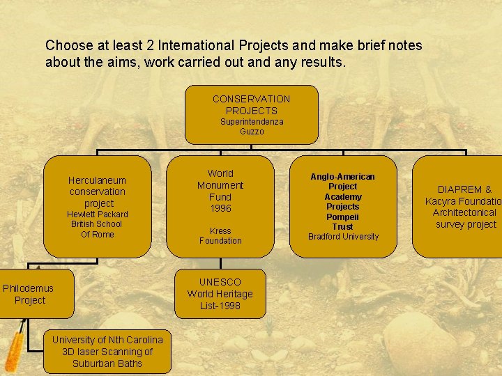 Choose at least 2 International Projects and make brief notes about the aims, work