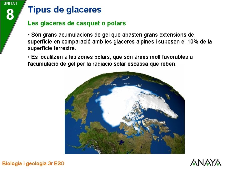 UNITAT 8 Tipus de glaceres Les glaceres de casquet o polars • Són grans