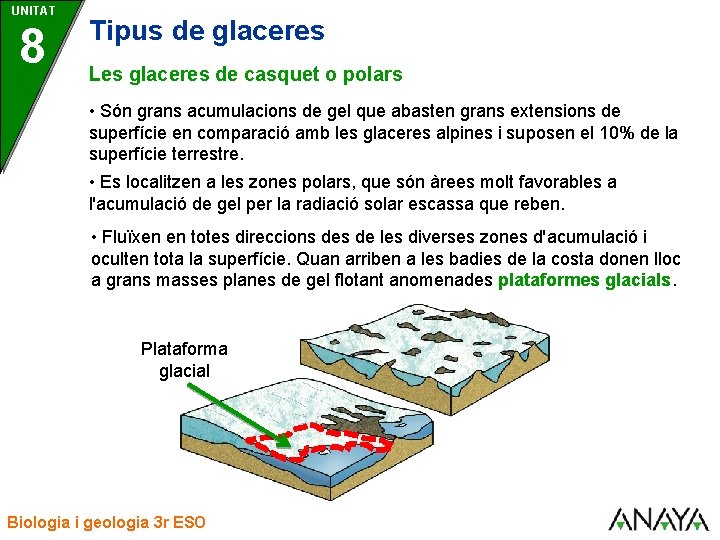 UNITAT 8 Tipus de glaceres Les glaceres de casquet o polars • Són grans