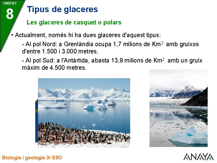 UNITAT 8 Tipus de glaceres Les glaceres de casquet o polars • Actualment, només