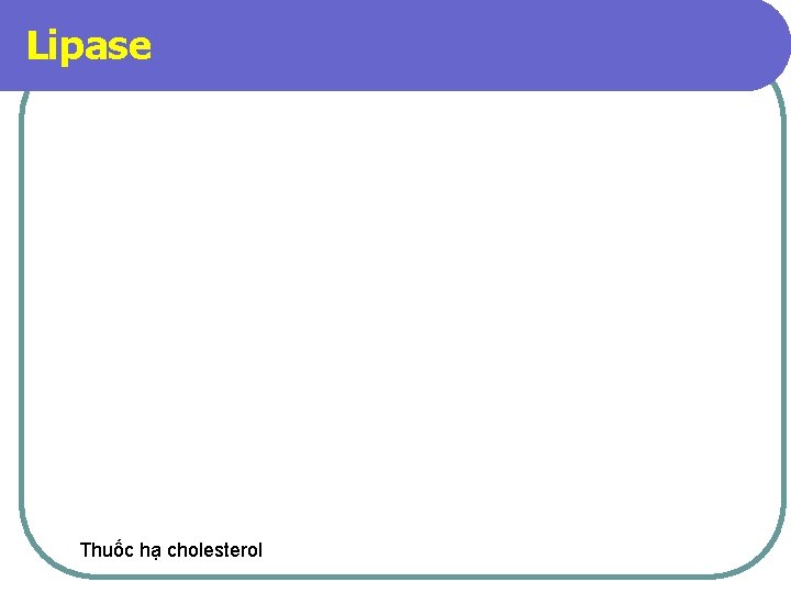 Lipase Thuốc hạ cholesterol 