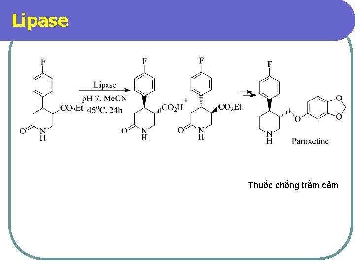 Lipase Thuốc chống trầm cảm 